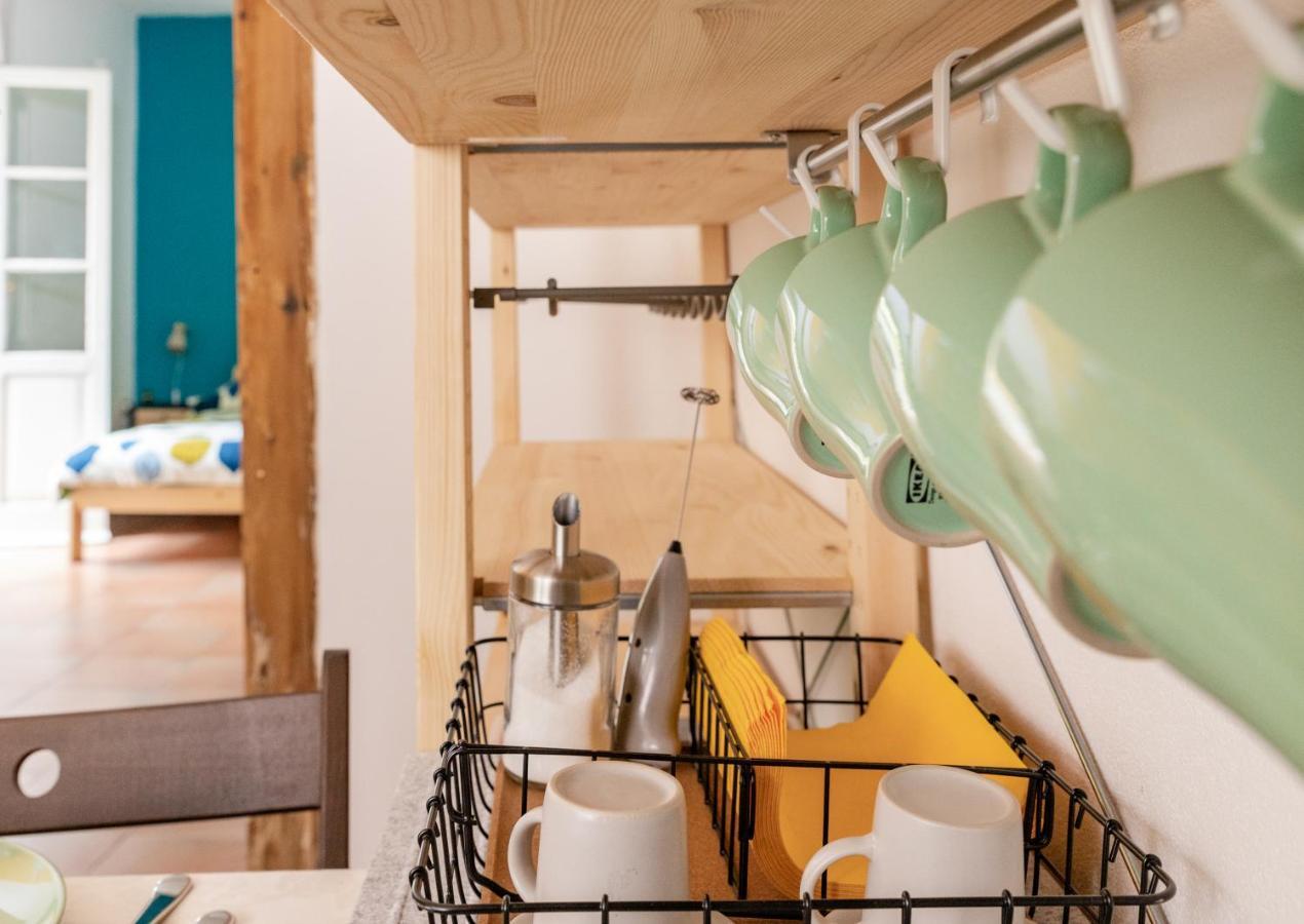Marylou Gardenhouse Lägenhet Pisa Exteriör bild