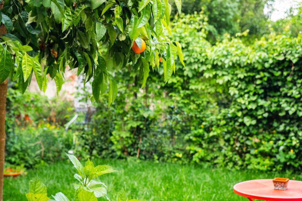 Marylou Gardenhouse Lägenhet Pisa Exteriör bild